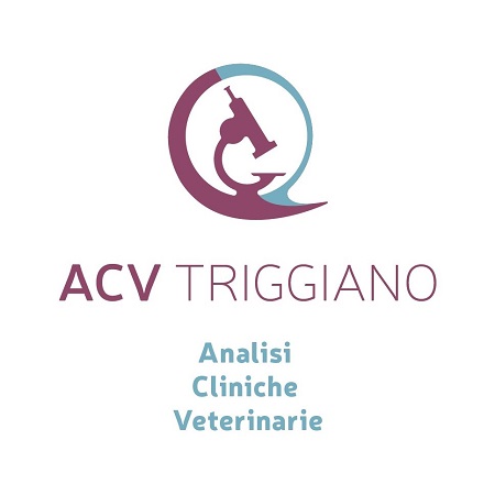 A.C.V. Triggiano S.R.L.